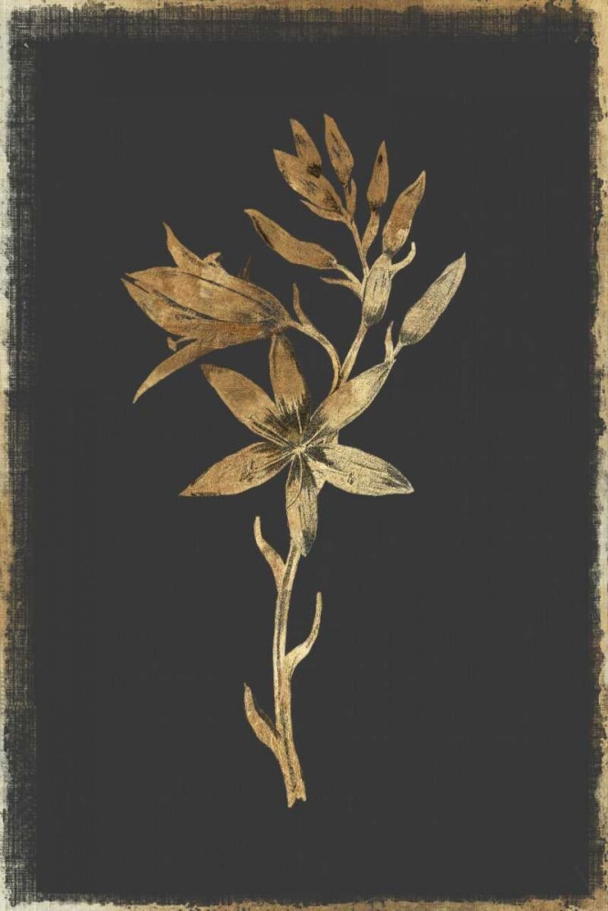 Carmass and Wild Hyacinth Poster Print by PI Collection - Item # VARPDXPZ121A